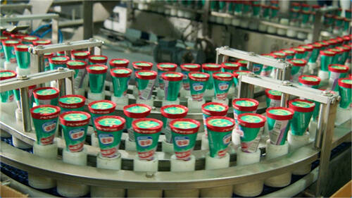 雀巢携手奥利奥冰淇淋 产品创新与业务培训双轮驱动